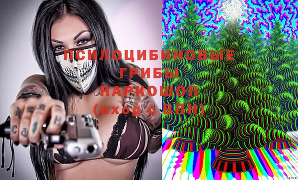 ешки Зеленодольск