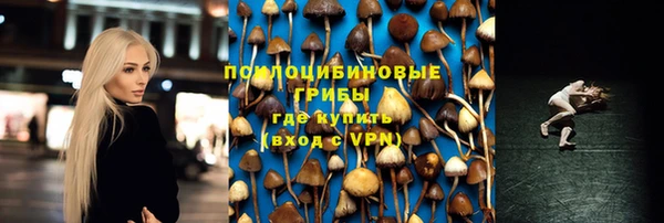 ешки Зеленодольск