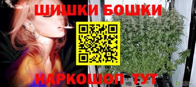 СК Сланцы