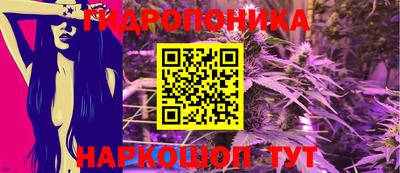 СК Сланцы