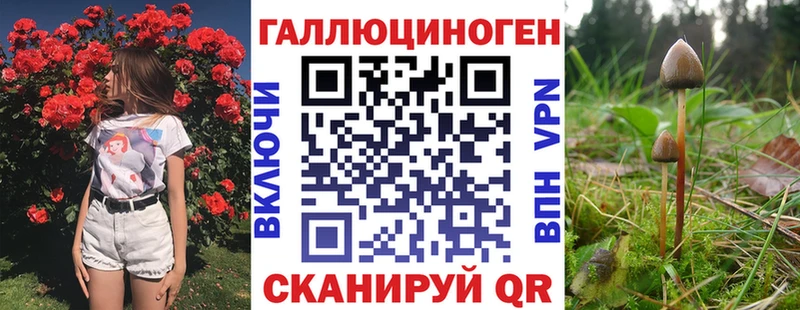 Псилоцибиновые грибы Psilocybe  Уварово 