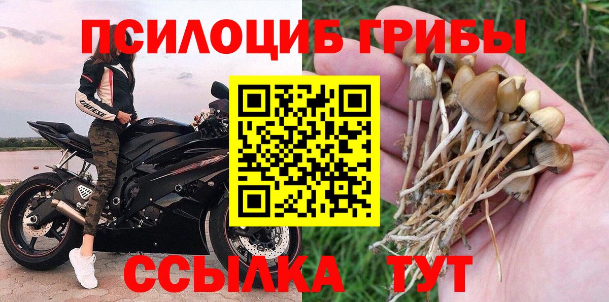как найти наркотики  Псилоцибиновые грибы мухоморы  Псилоцибиновые грибы Psilocybe  Вход с VPN  Уварово 
