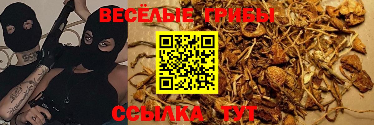 Псилоцибиновые грибы ЛСД Уварово